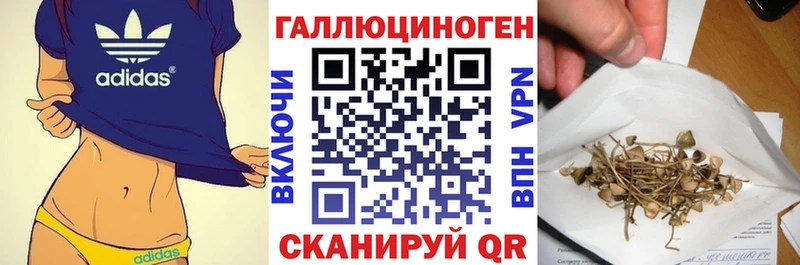 Псилоцибиновые грибы Magic Shrooms  Менделеевск 